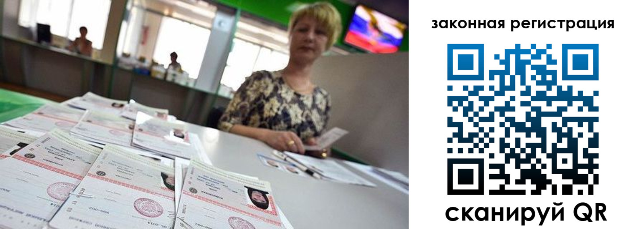 прописка поиск в Мытищах